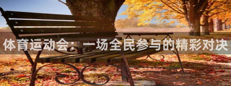 必发官方平台体育:体育运动会:一场全民参与的精彩对决