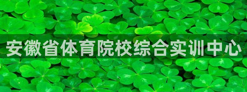 必发官网下载招商电话是多少号码:安徽省体育院校综合实训中心