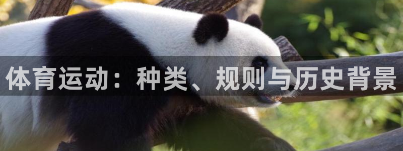 必发官网下载招商电话是多少号码:体育运动:种类、规则与历史背