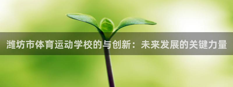必发官方正版app集团logo:潍坊市体育运动学校的与创新: